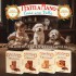 Dolci Impronte - Fatti a Mano Miestelle - Confezione 6 Scatole Biscotti Frolla con Carruba - 250 gr