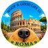 Souvenir City Edition WOOF & GOOD LIFE [CITY] - rotondo - 10 Pezzi