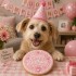 Dolci Impronte | Confezione 3 pezzi Birthday Round Cake Rosa 100 gr S09