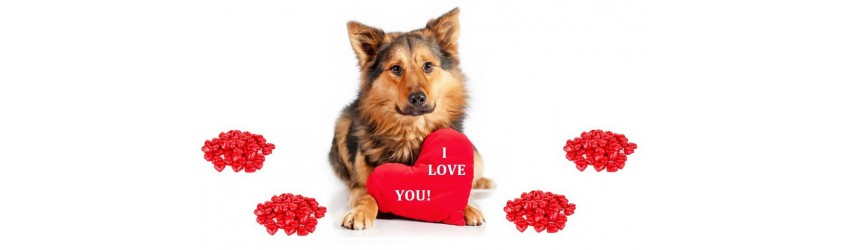 Valentine’s Day 2026