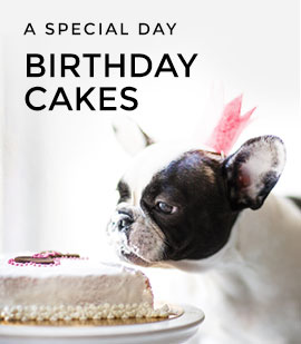 Looking for distributors