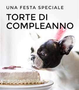 Looking for distributors